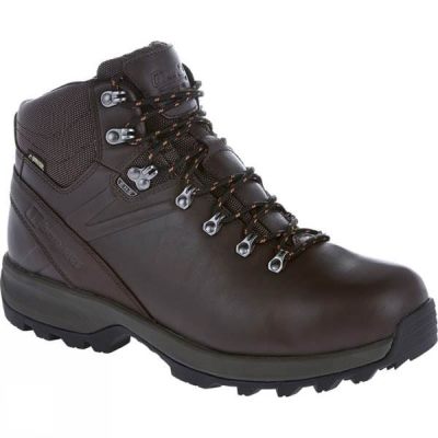 Botas Berghaus Explorer Ridge Plus GTX Hombre Marrones Oscuro - Chile GND207831